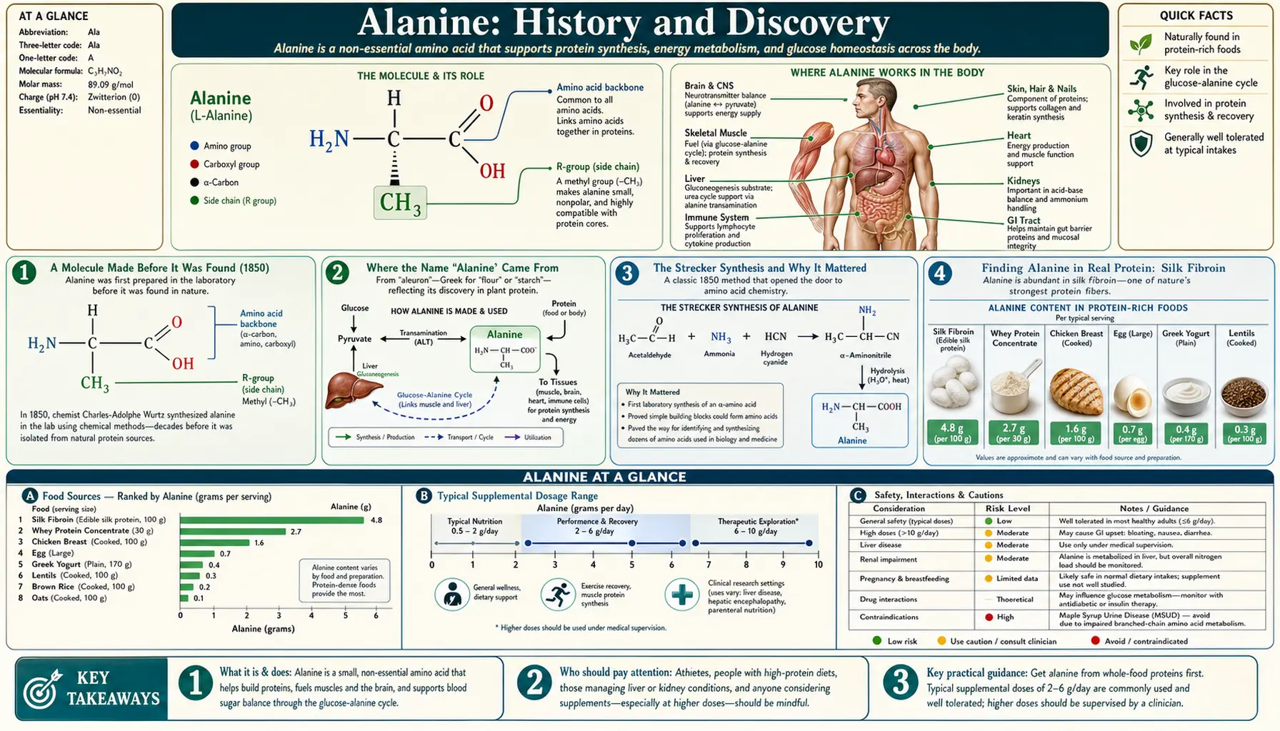 History — scientific infographic poster