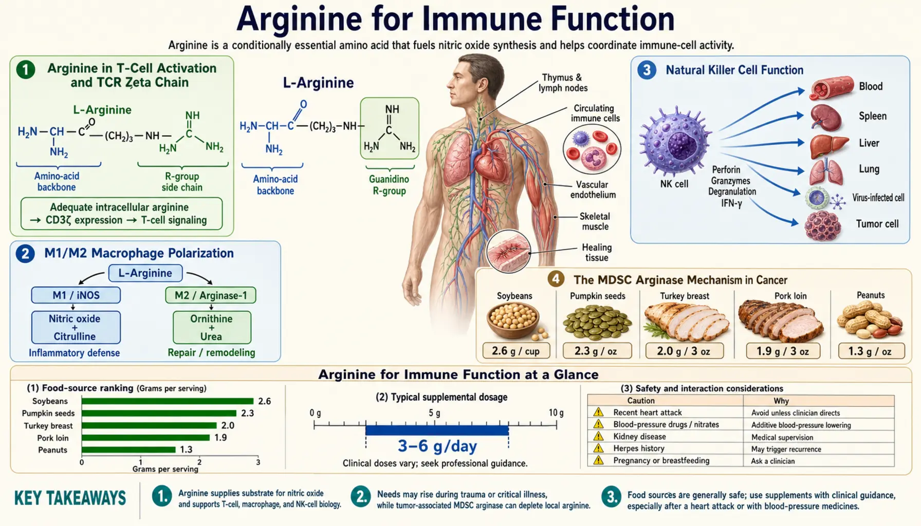 Immune Function — scientific infographic poster