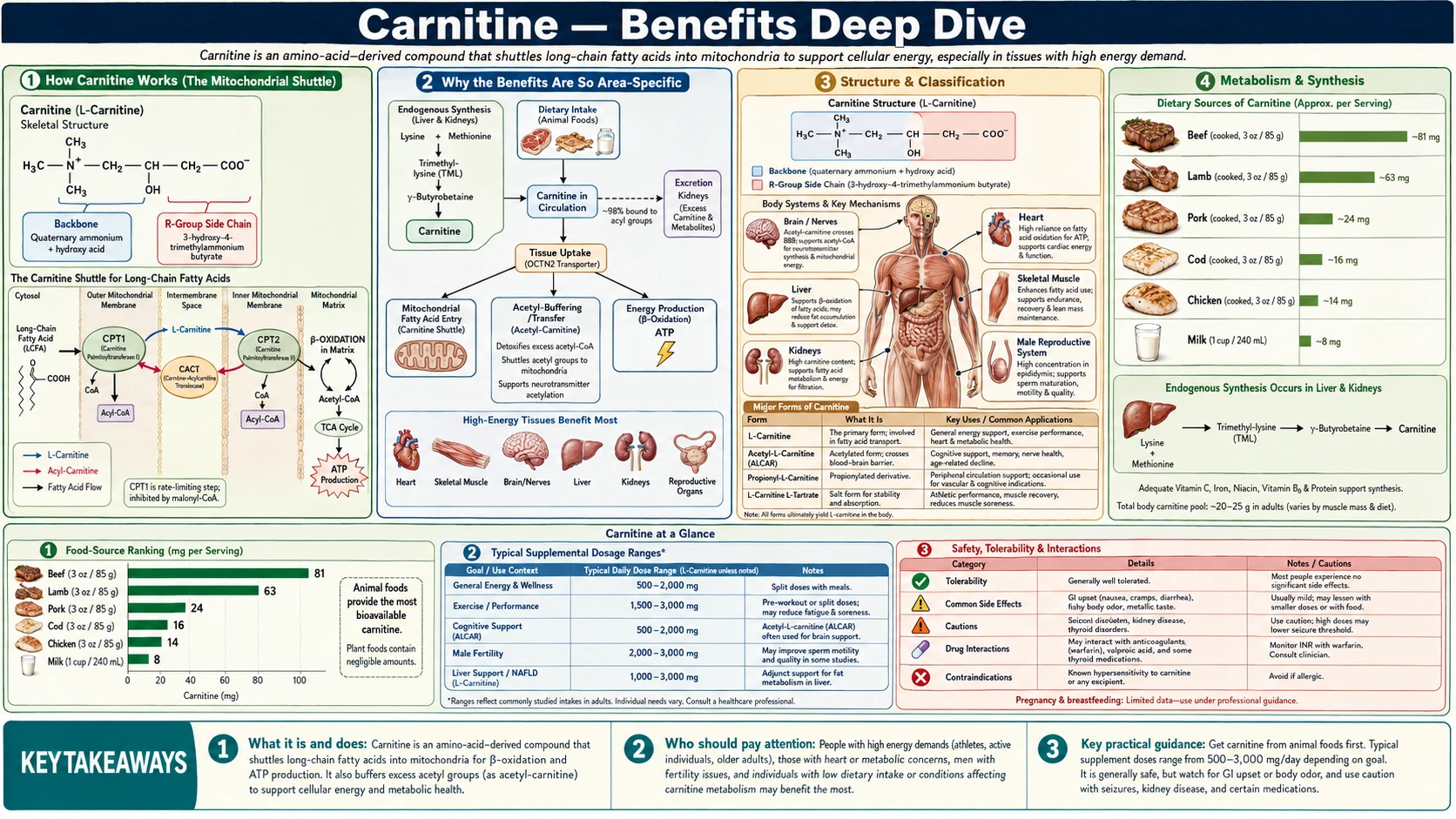 Benefits — scientific infographic poster