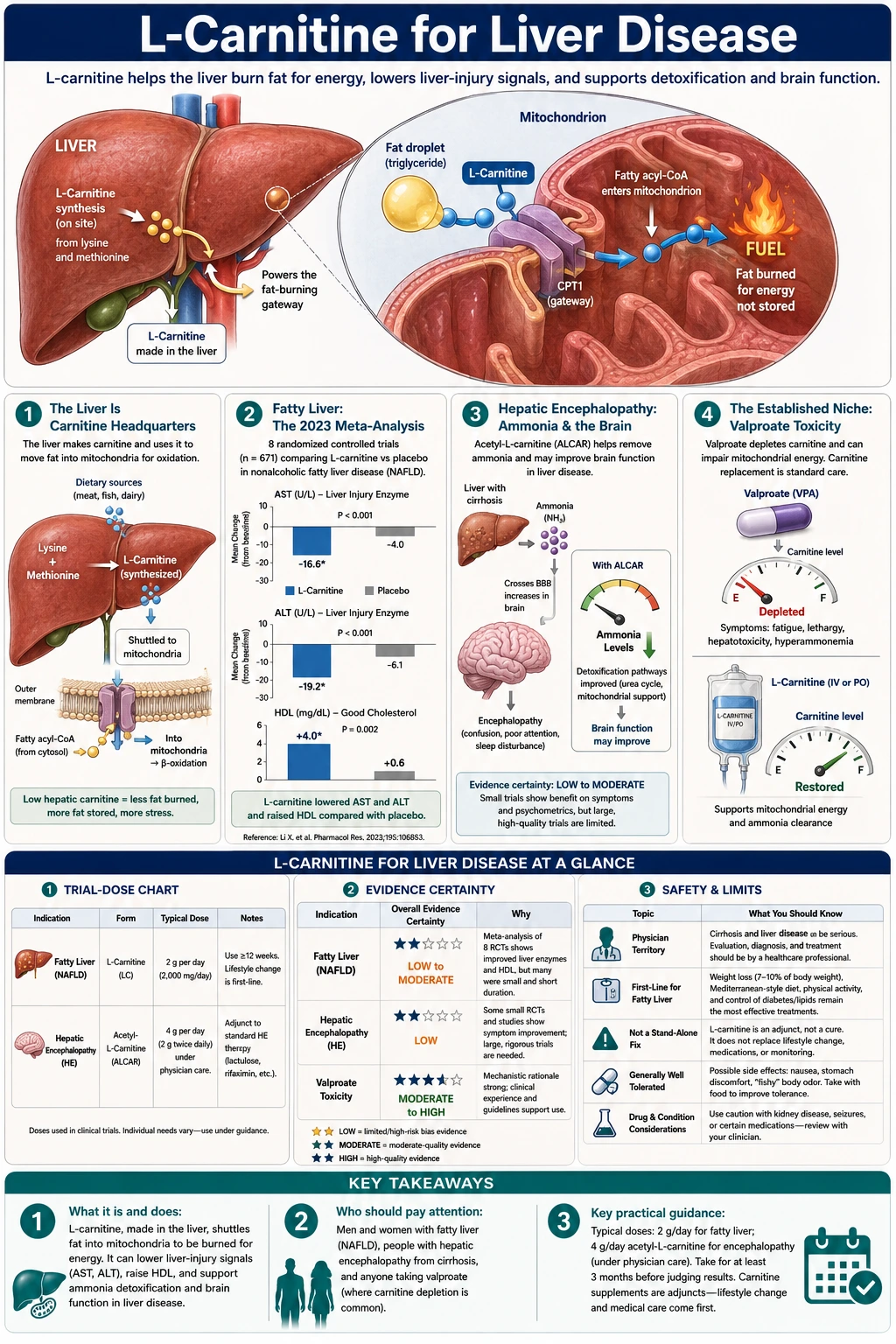 Liver Disease — scientific infographic poster