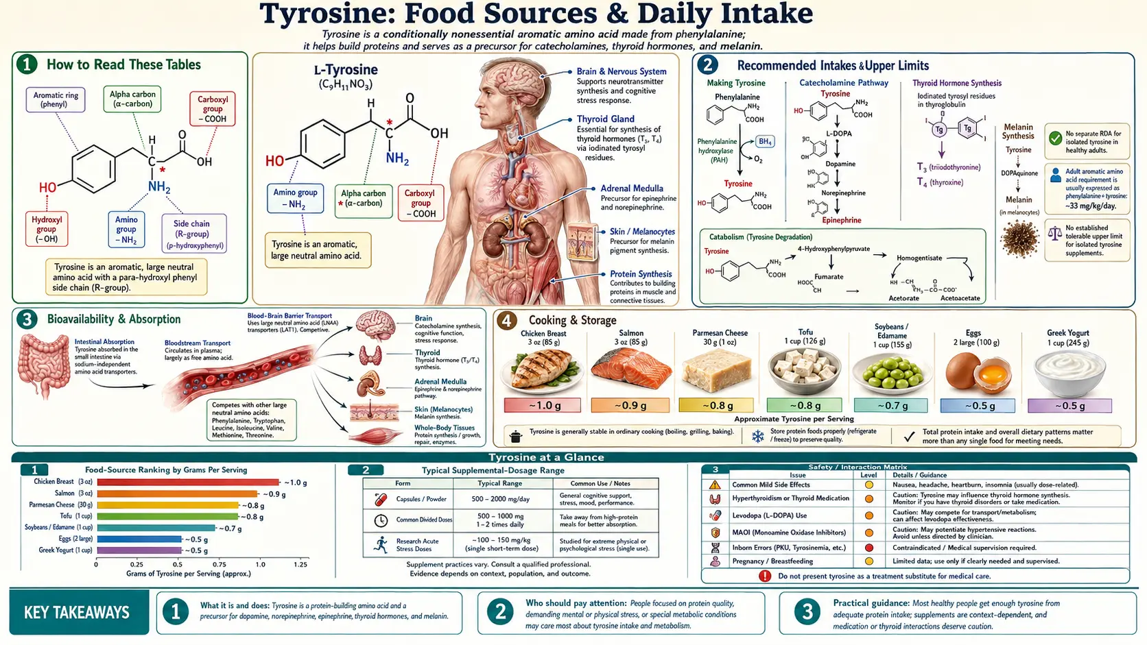 Sources — scientific infographic poster