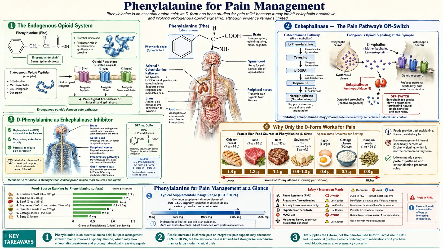 Pain Management — scientific infographic poster