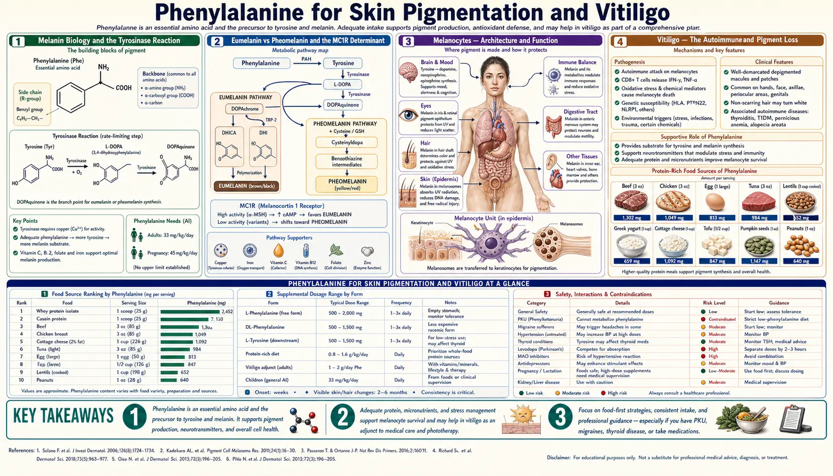 Skin Pigmentation — scientific infographic poster