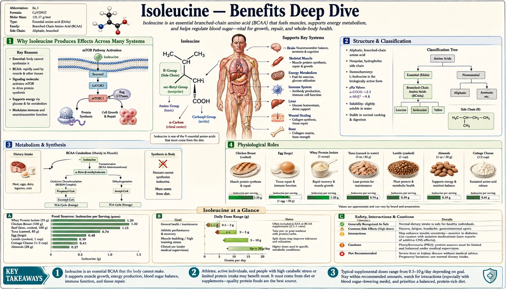 Benefits — scientific infographic poster