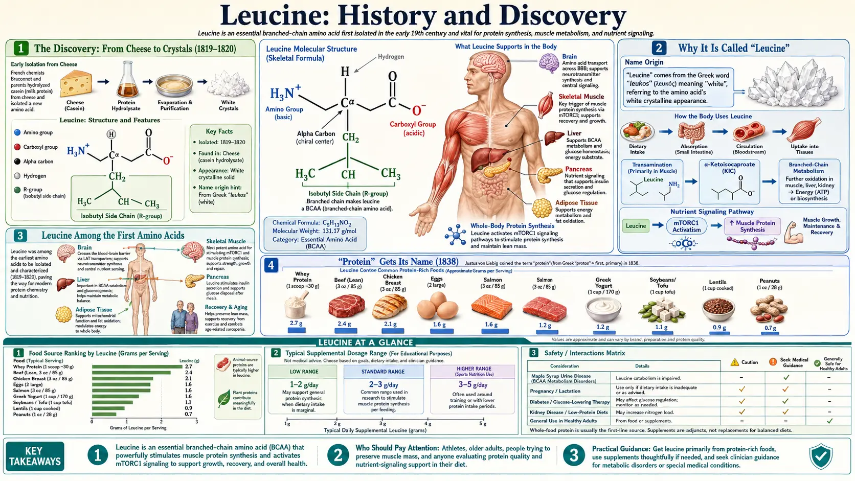 History — scientific infographic poster