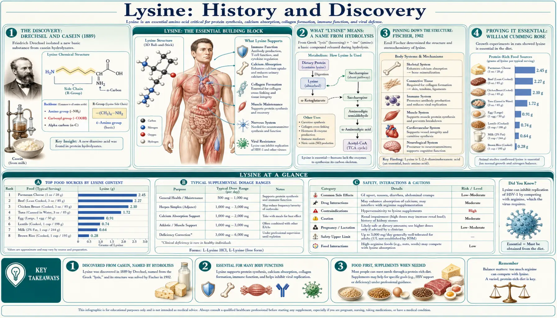 History — scientific infographic poster