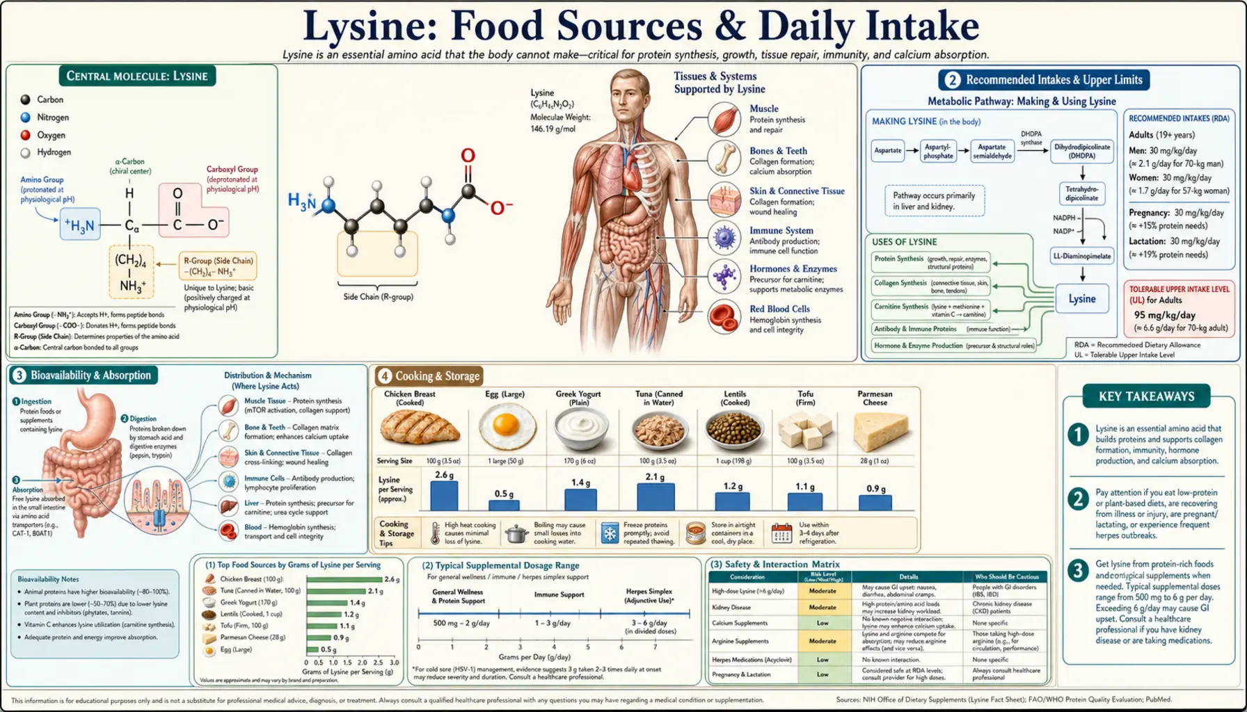 Sources — scientific infographic poster