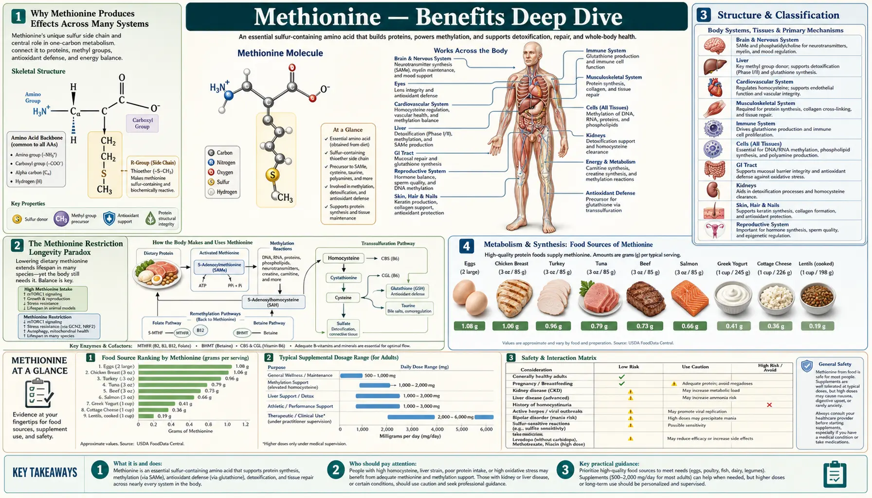 Benefits — scientific infographic poster
