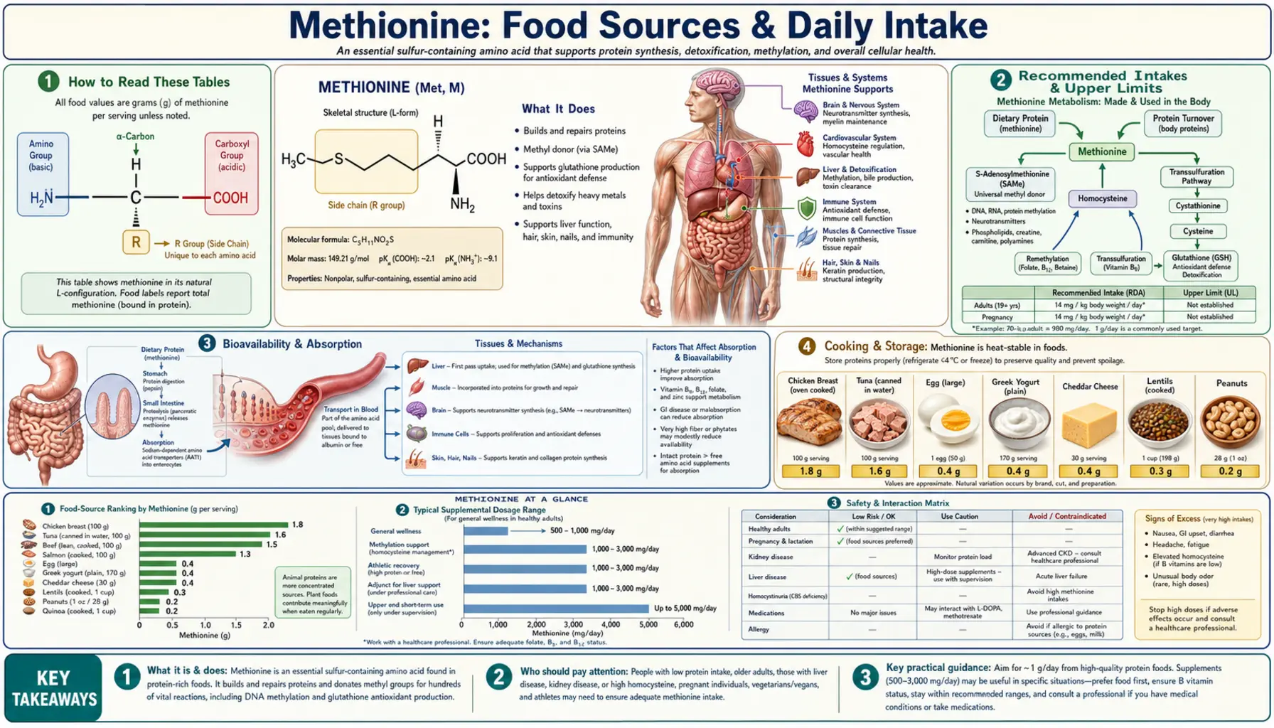 Sources — scientific infographic poster
