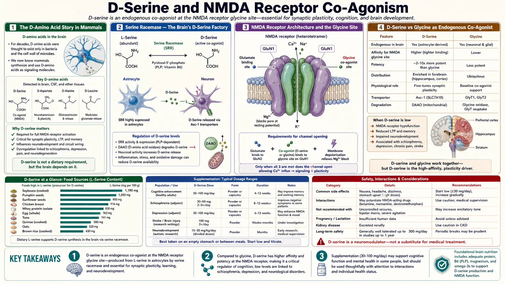 D Serine and NMDA — scientific infographic poster