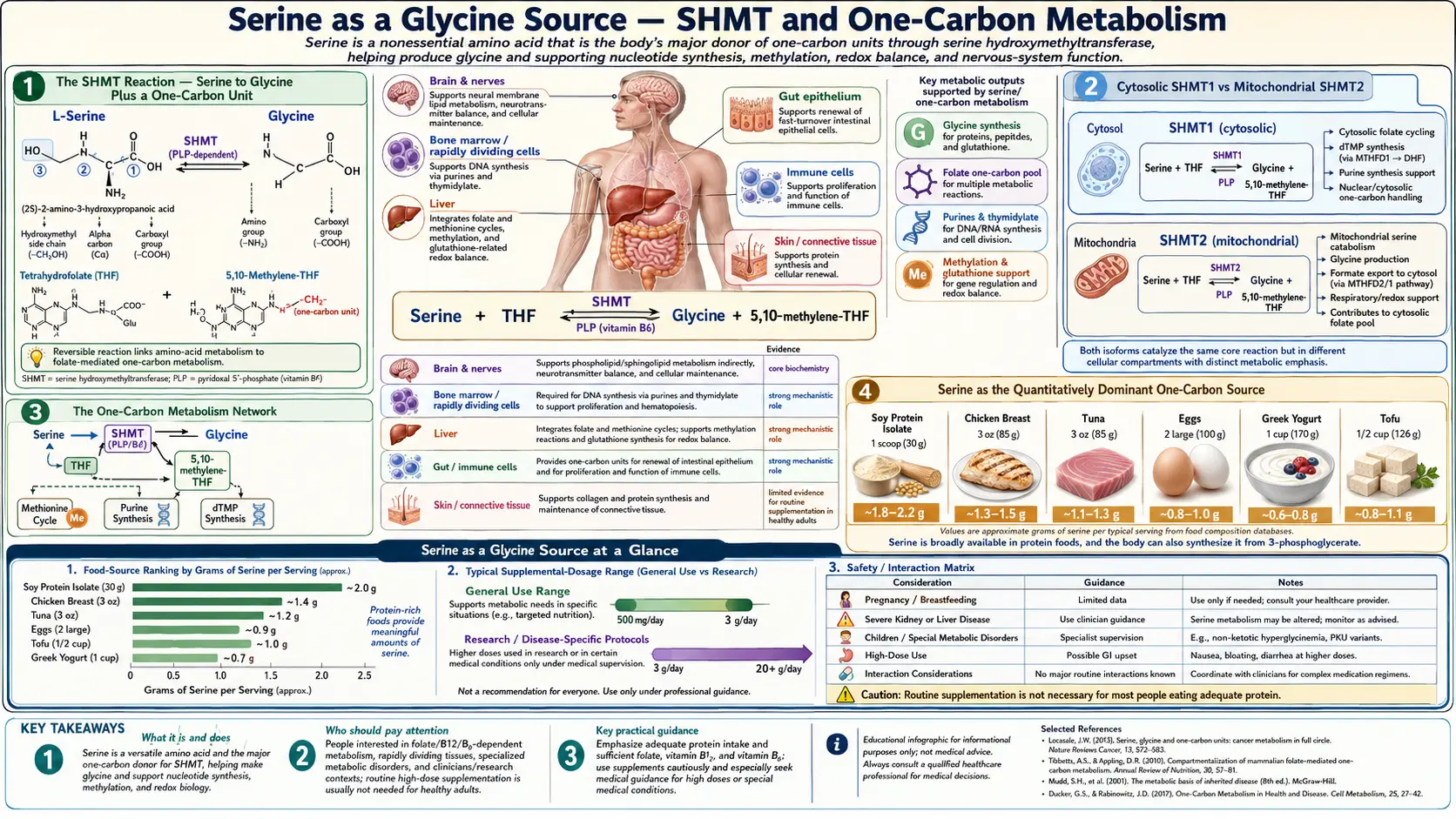 Glycine Source — scientific infographic poster