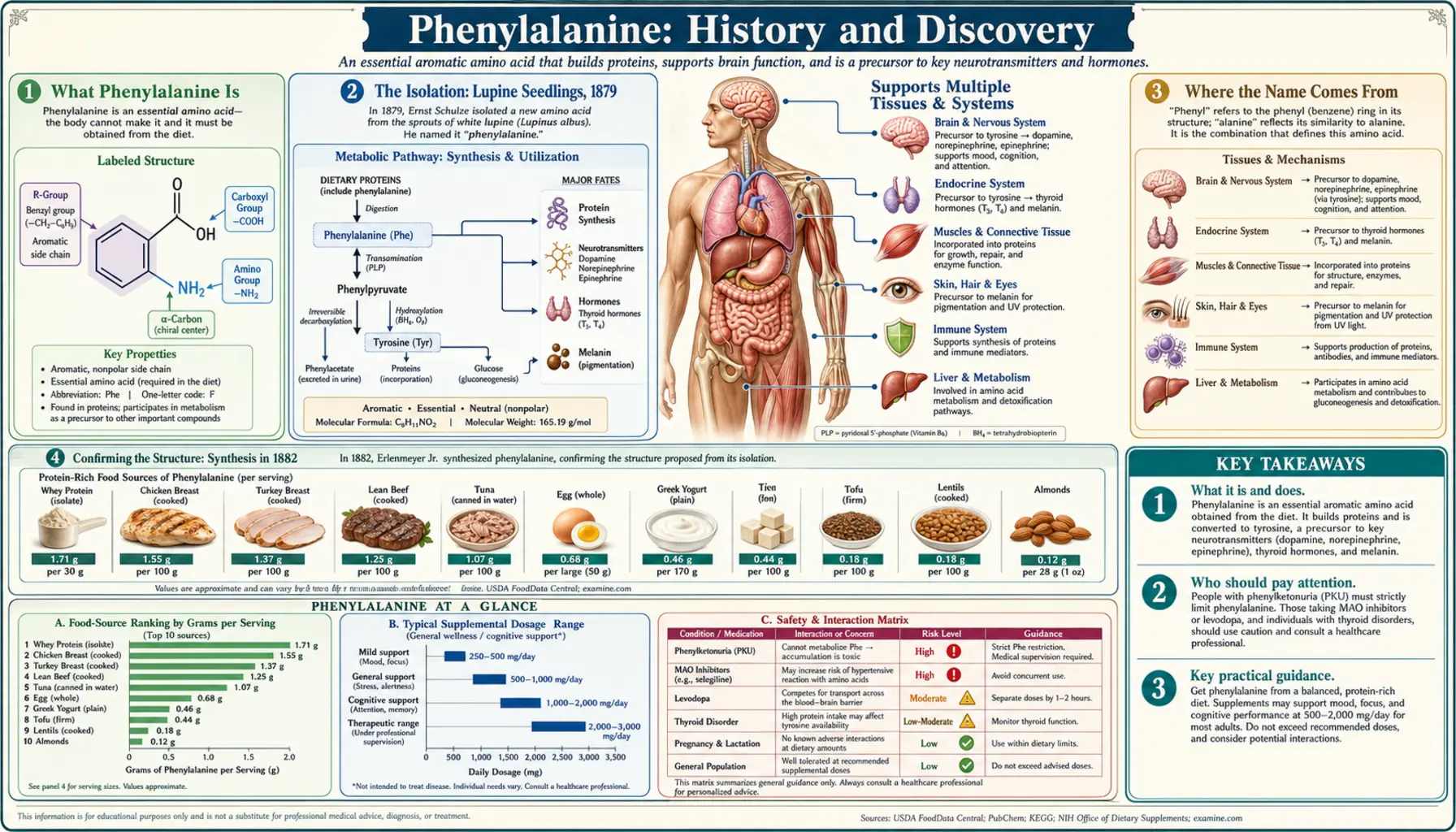 History — scientific infographic poster