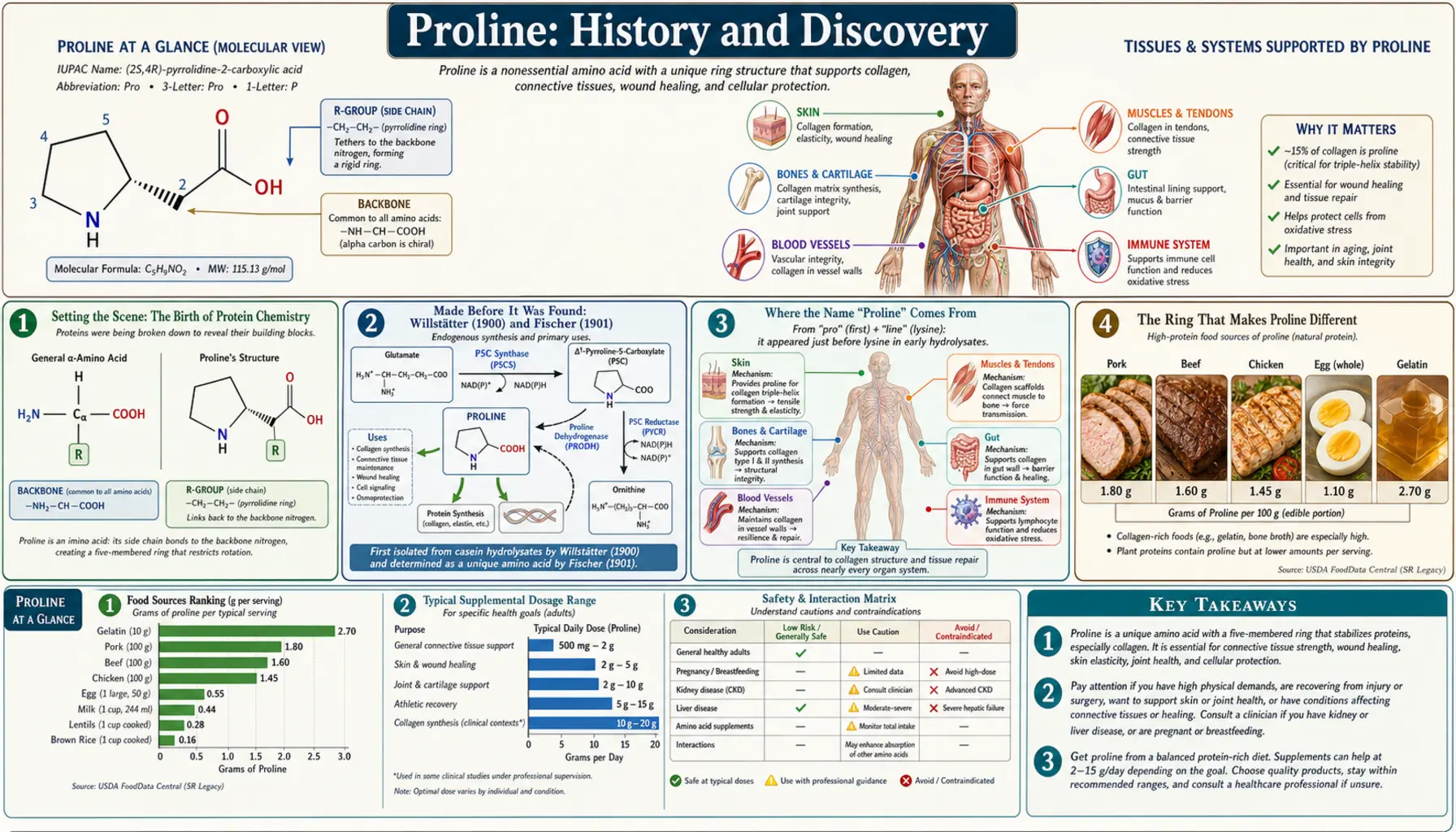 History — scientific infographic poster