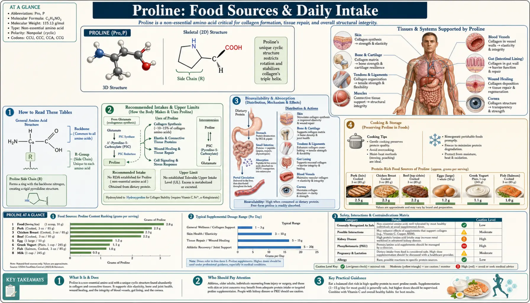 Sources — scientific infographic poster