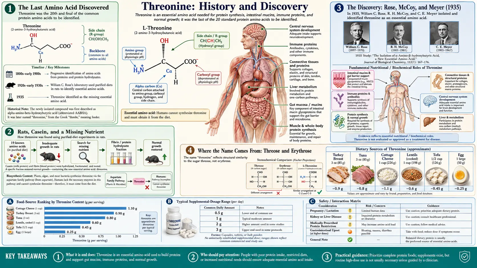 History — scientific infographic poster