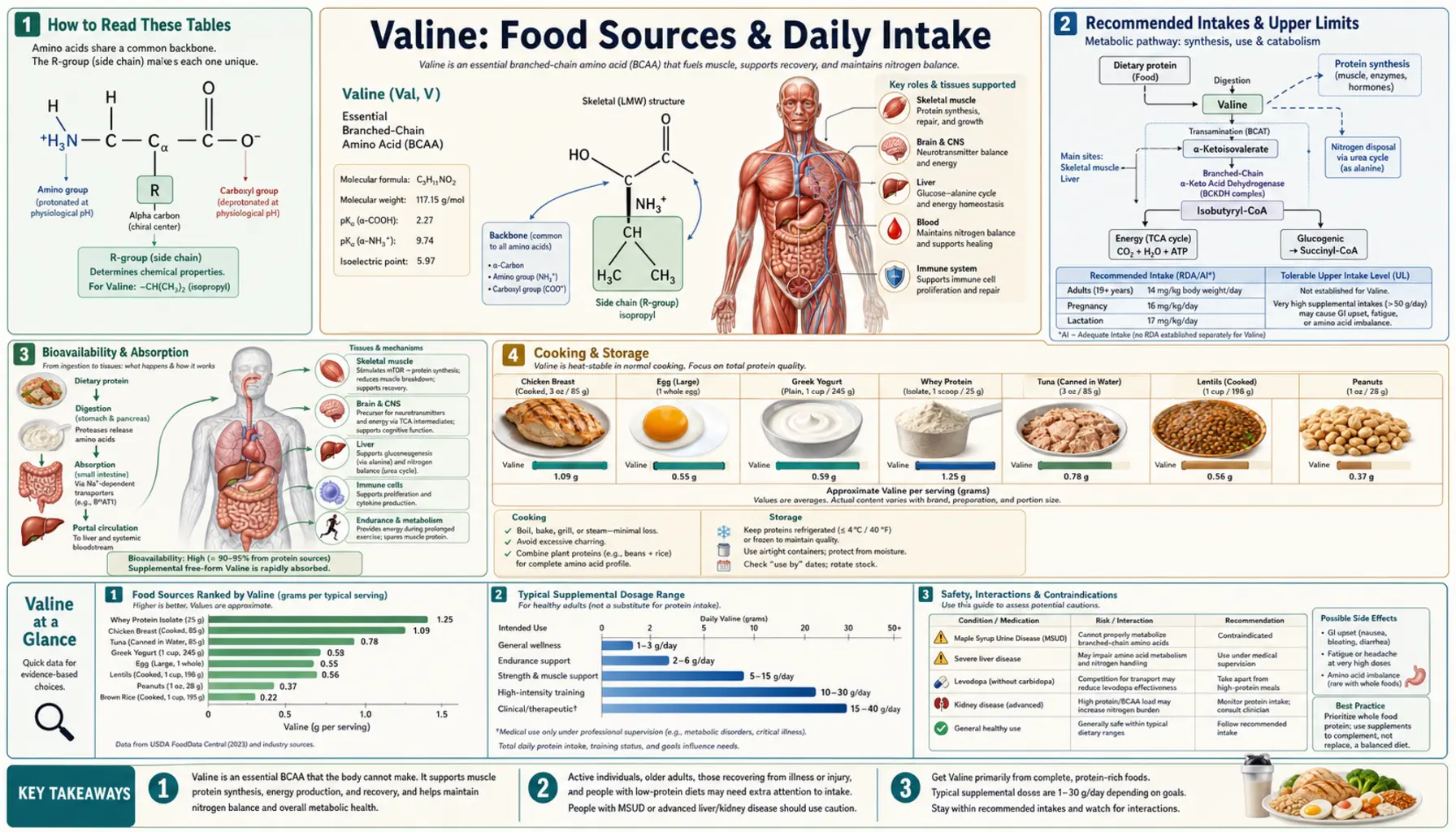 Sources — scientific infographic poster