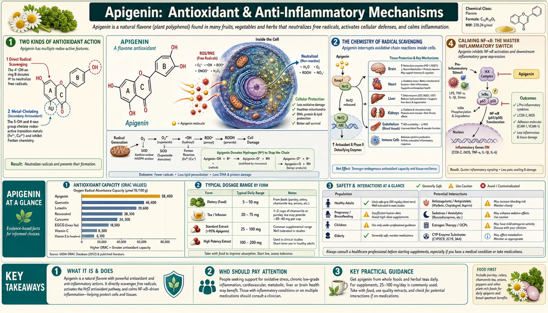 Antioxidant and Anti Inflammatory — scientific infographic poster