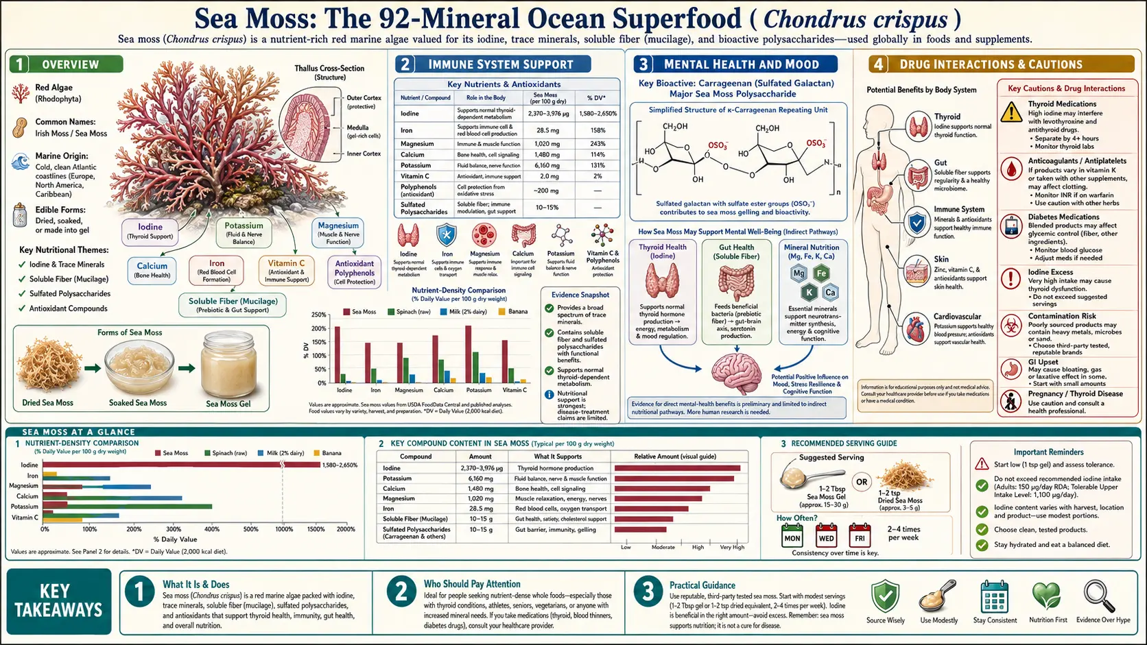 Sea Moss — scientific infographic poster
