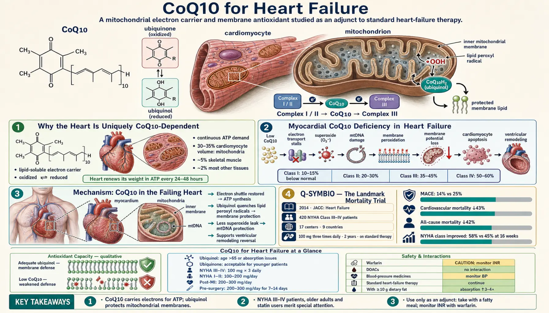 Heart Failure — scientific infographic poster