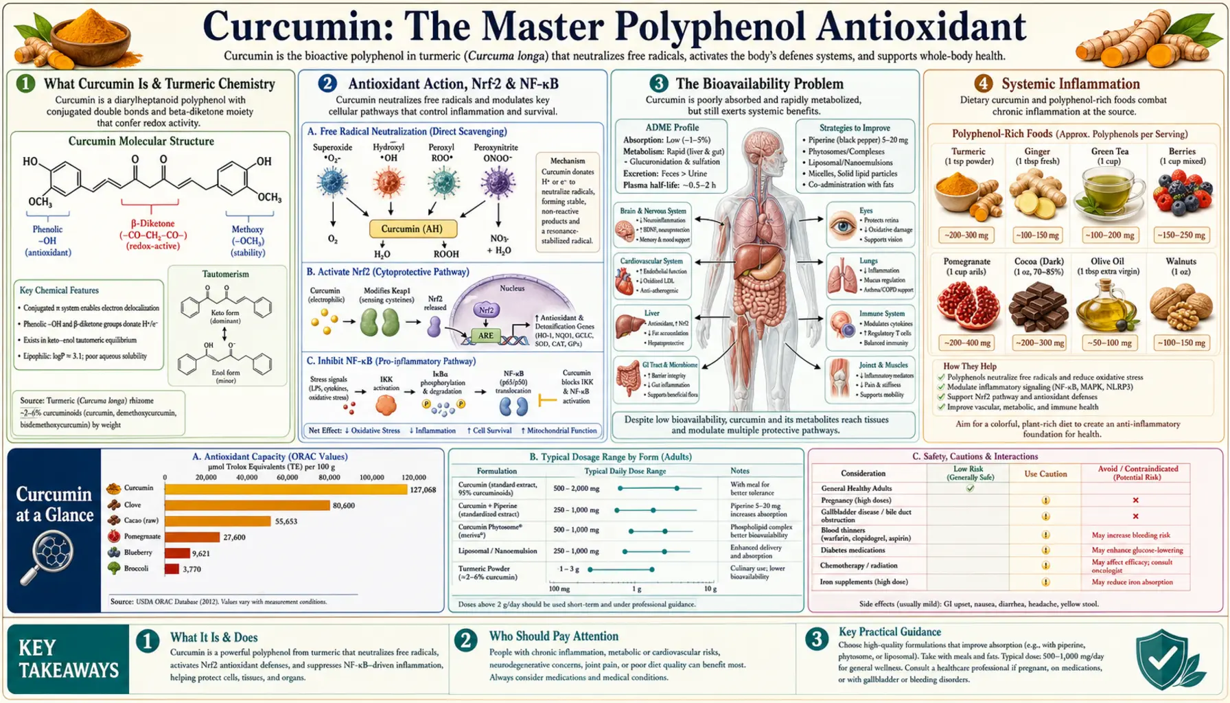 Curcumin — scientific infographic poster