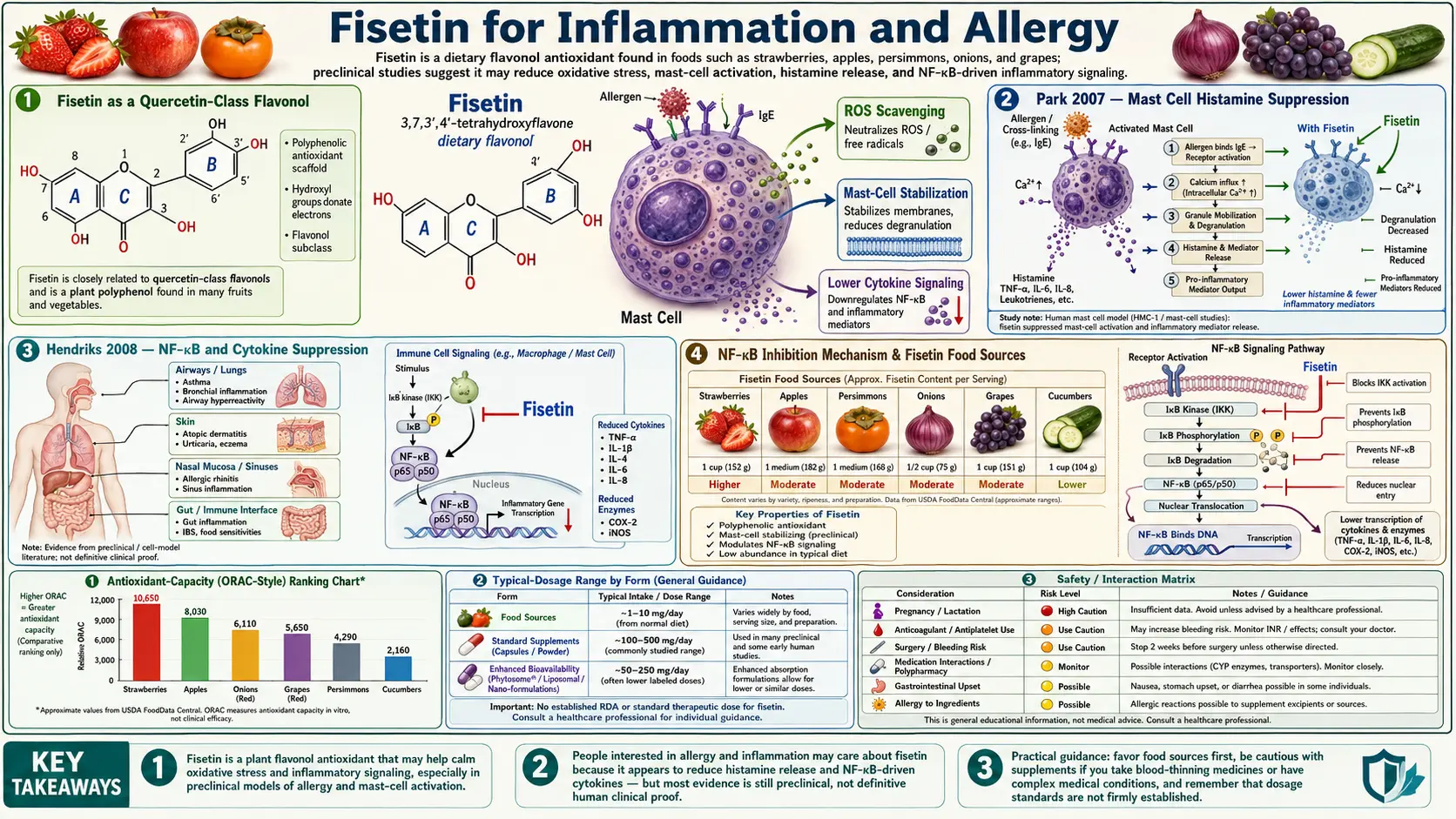 Inflammation and Allergy — scientific infographic poster