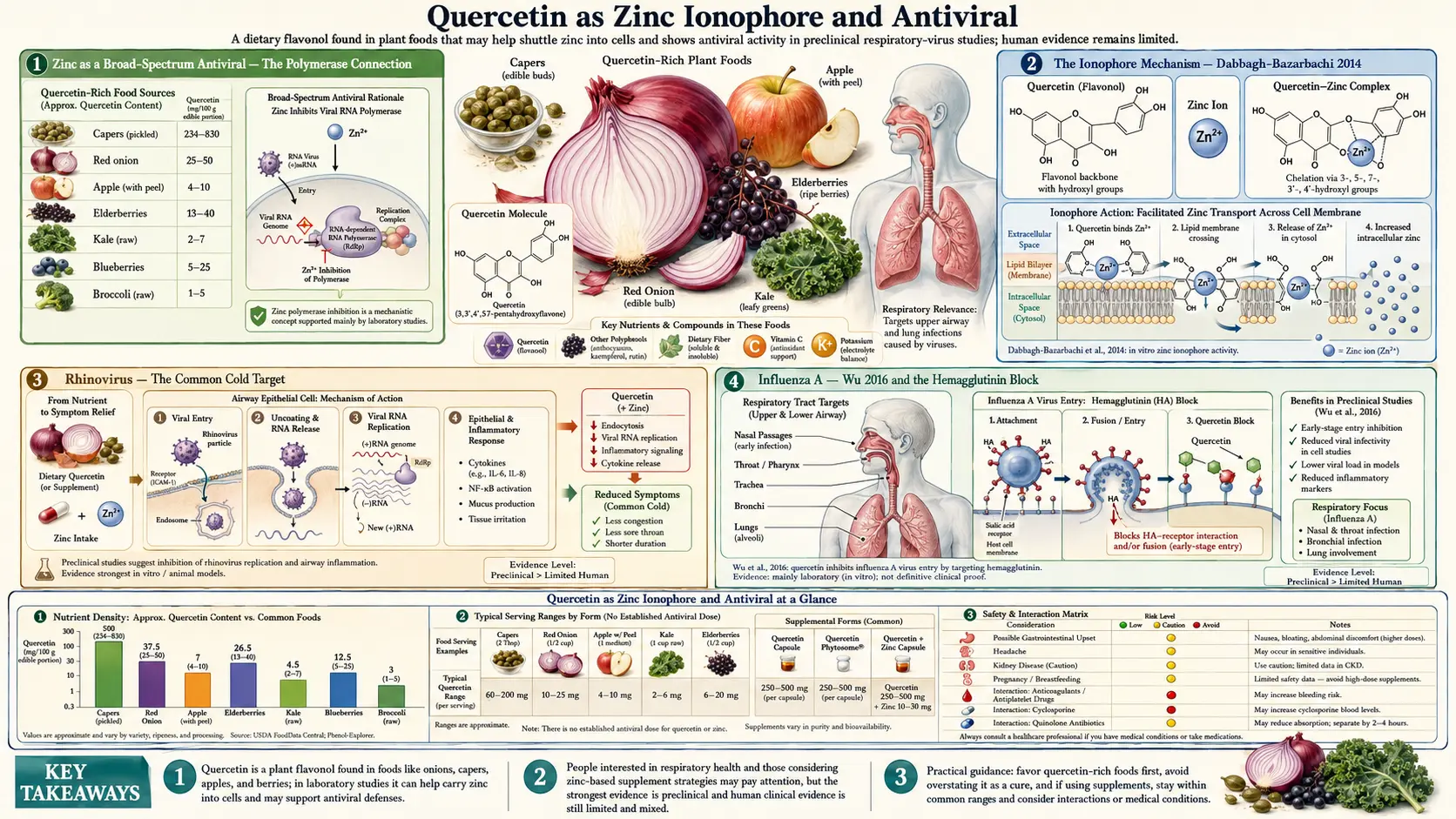 Zinc Ionophore and Antiviral — scientific infographic poster