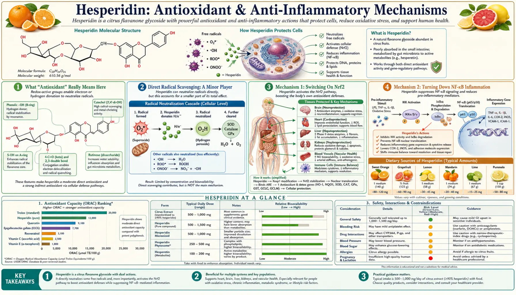 Antioxidant and Anti Inflammatory — scientific infographic poster