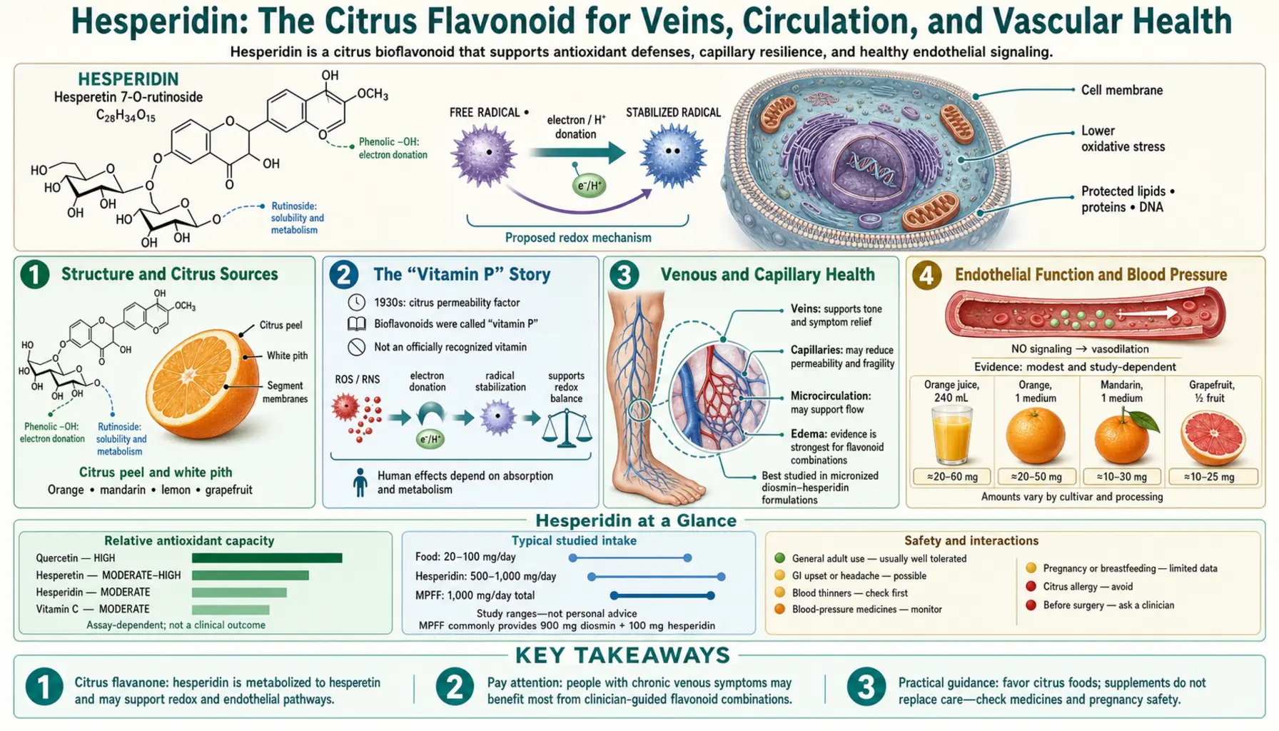 Hesperidin — scientific infographic poster