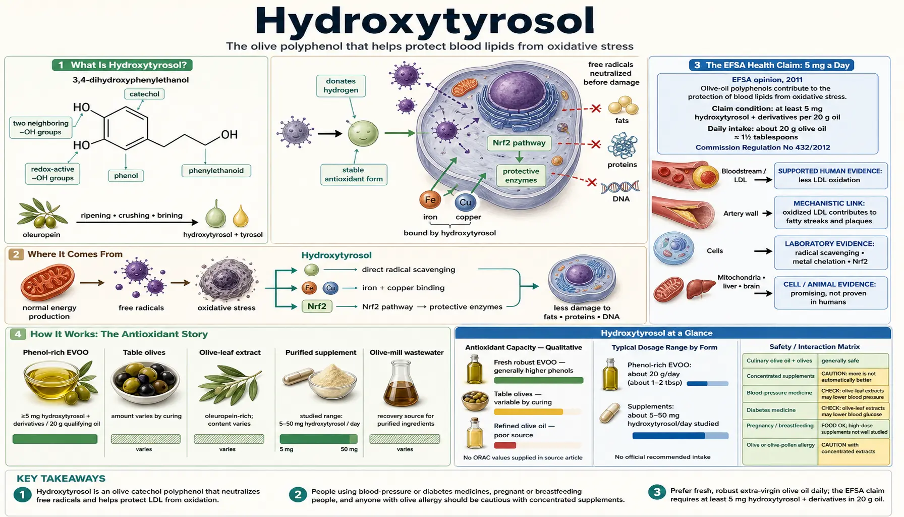Hydroxytyrosol — scientific infographic poster