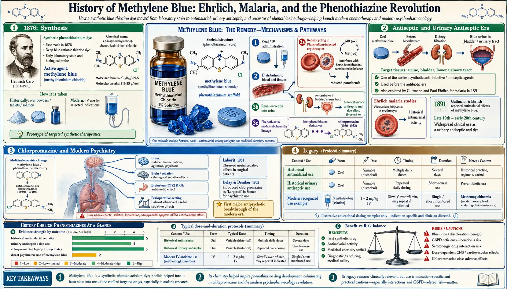 History Ehrlich Phenothiazines — scientific infographic poster