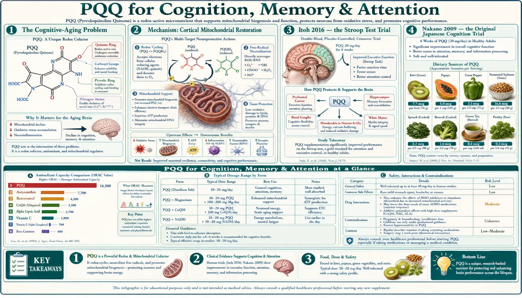 Cognition — scientific infographic poster
