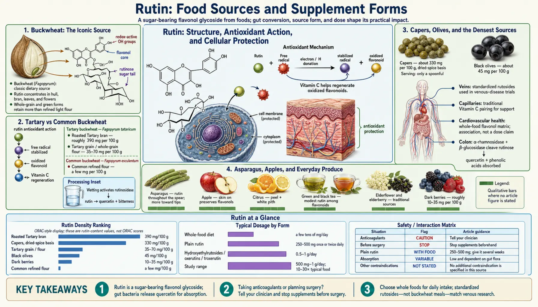 Sources — scientific infographic poster