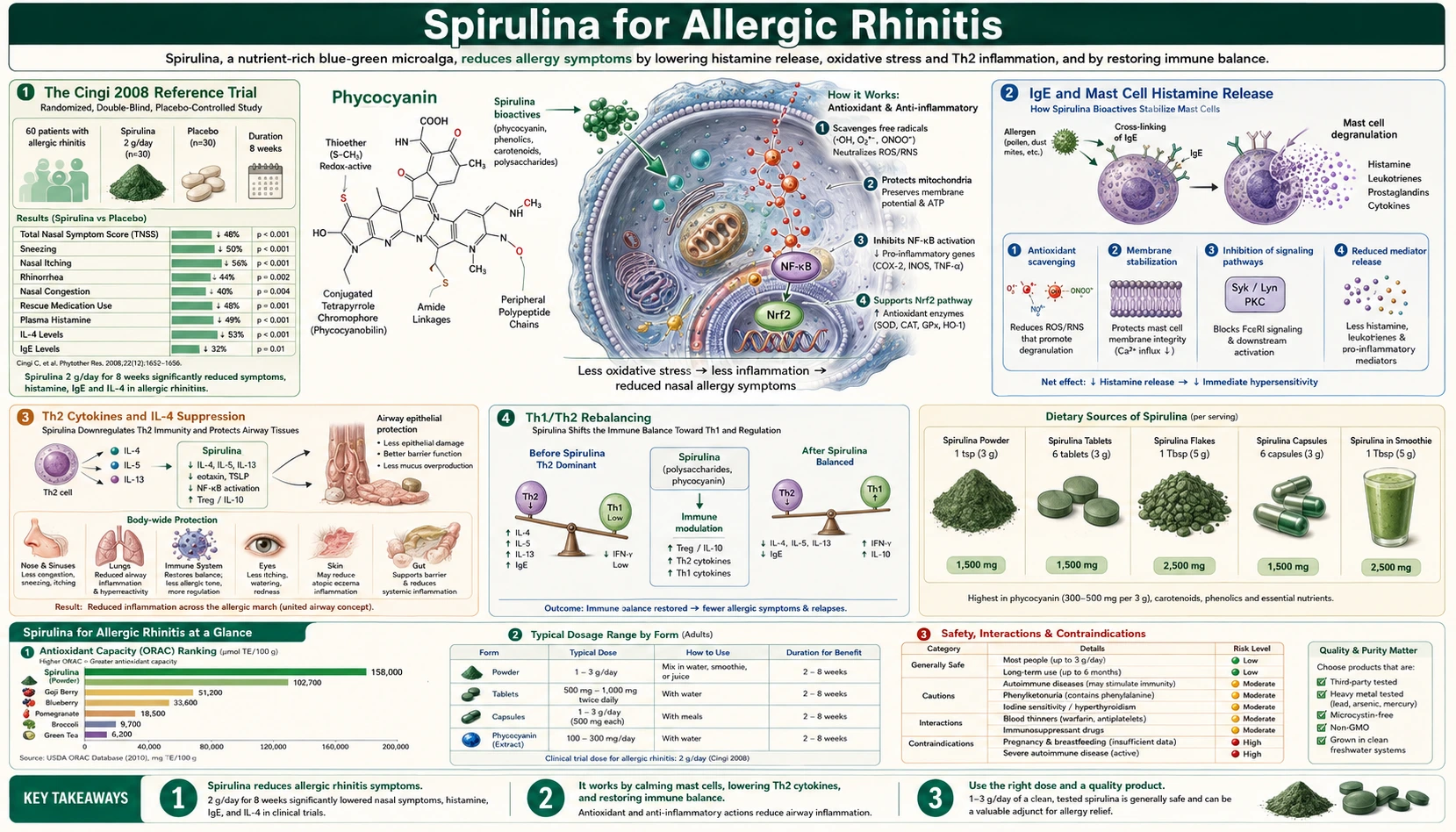 Allergic Rhinitis — scientific infographic poster