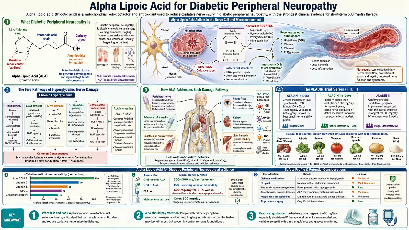 Diabetic Neuropathy — scientific infographic poster