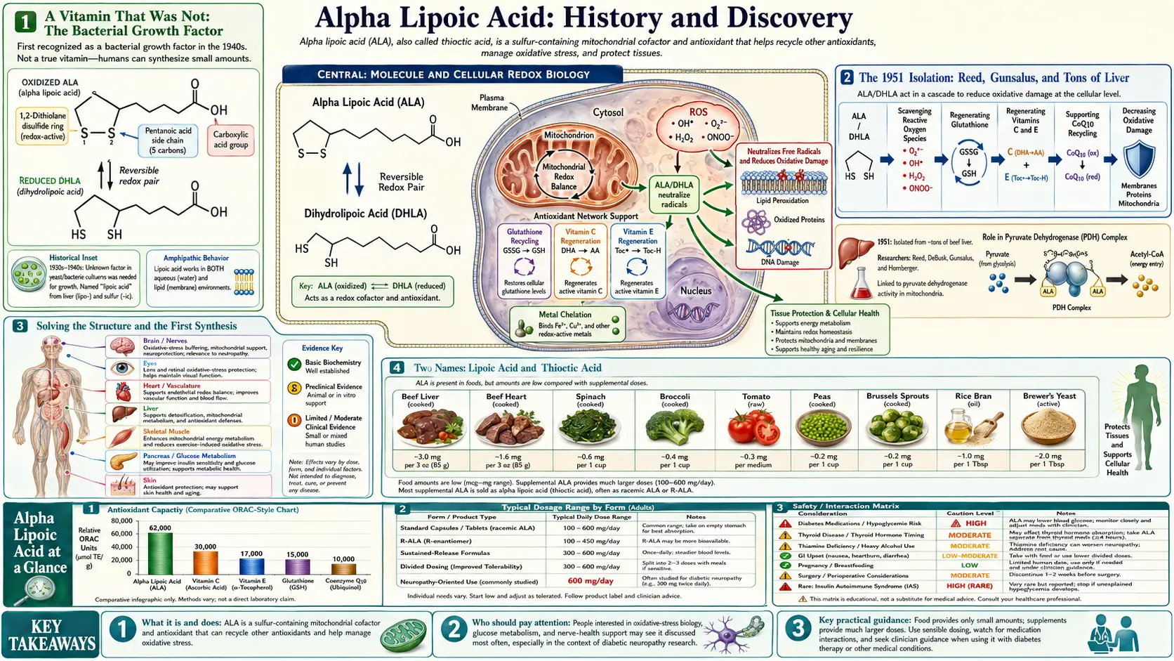 History — scientific infographic poster