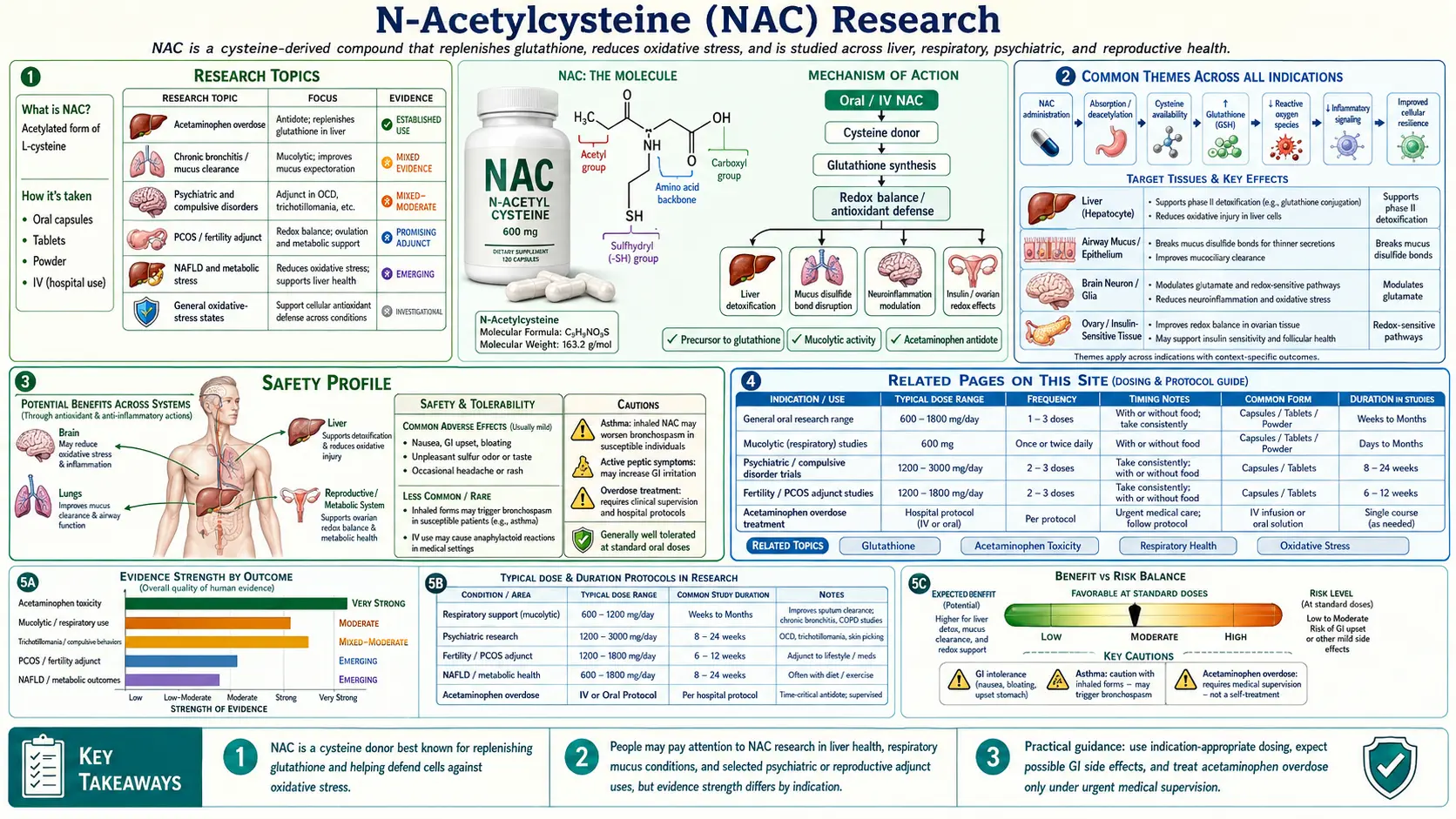 NAC — scientific infographic poster