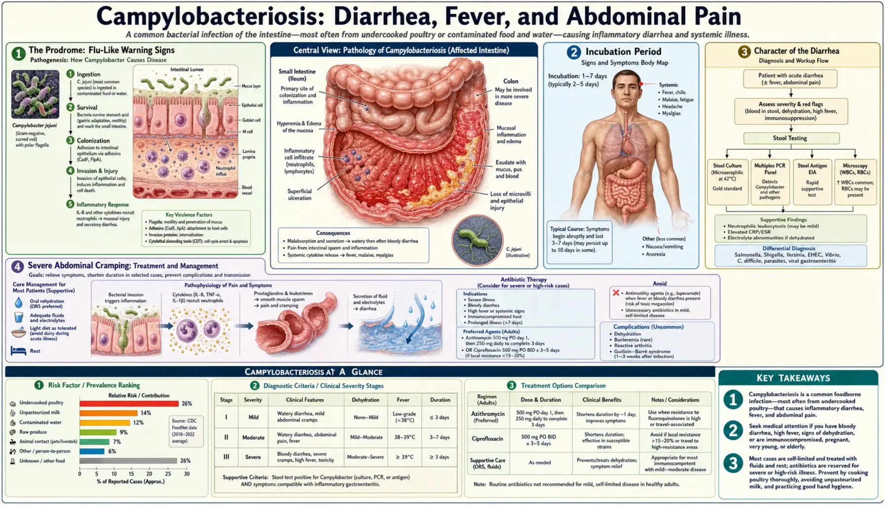 Diarrhea and GI Symptoms — scientific infographic poster
