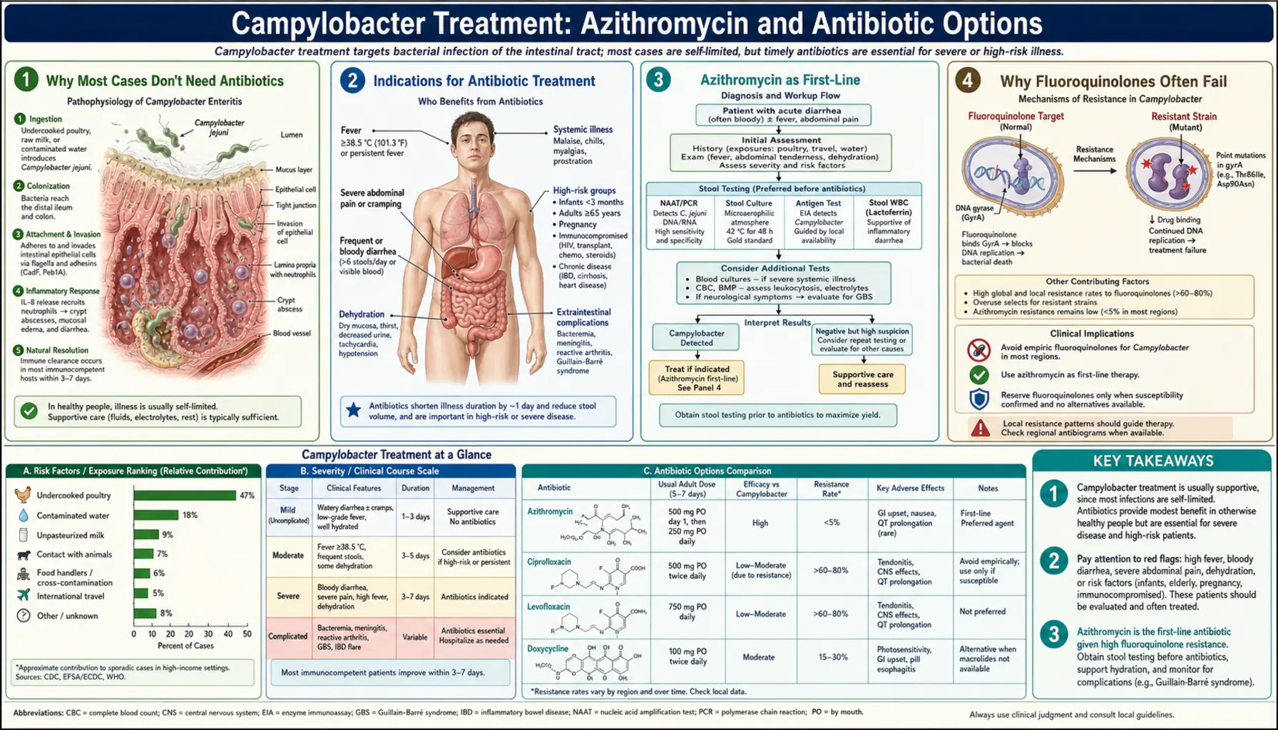 Azithromycin and Antibiotic Treatment — scientific infographic poster
