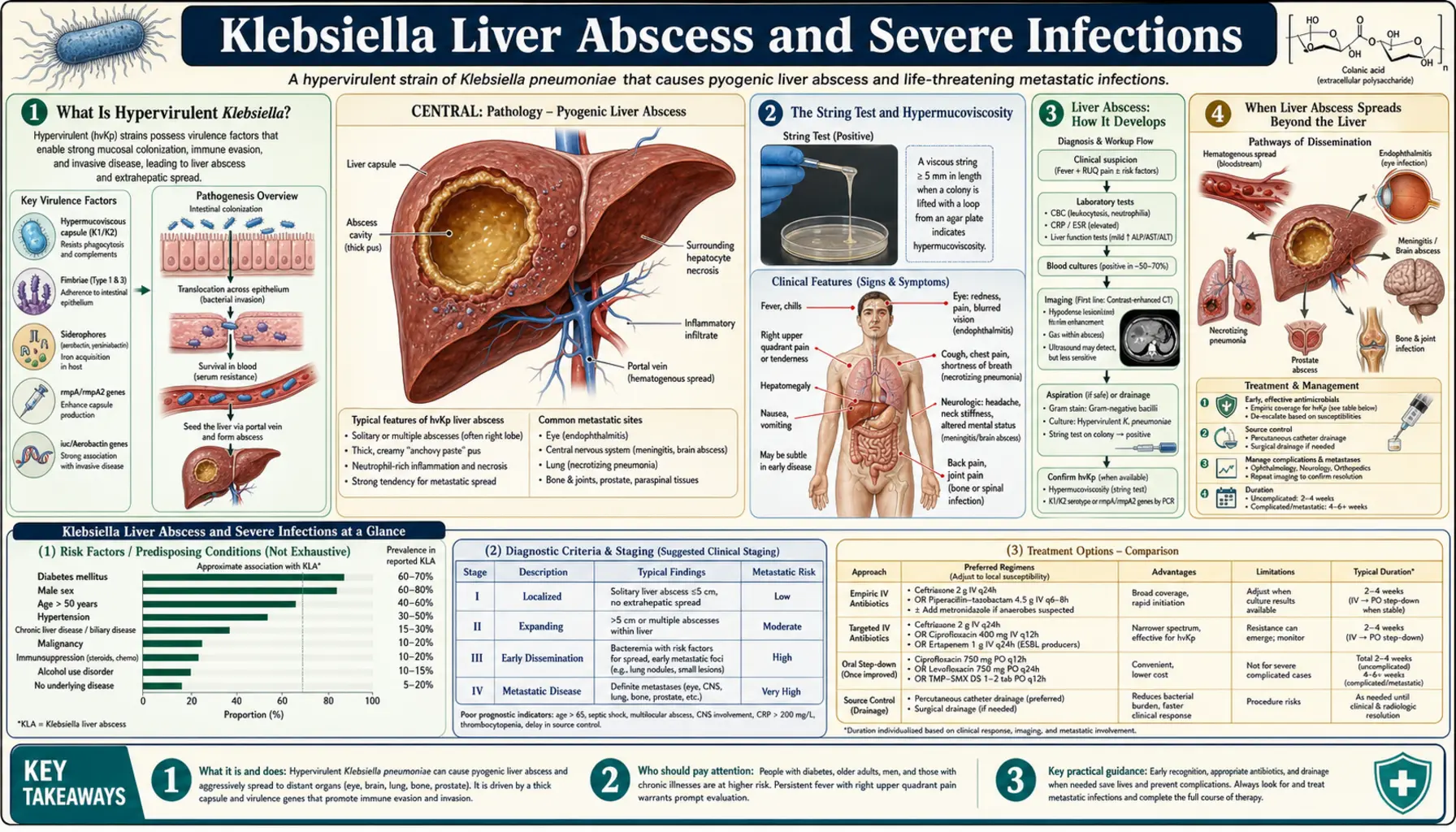 Liver Abscess and Severe Infections — scientific infographic poster