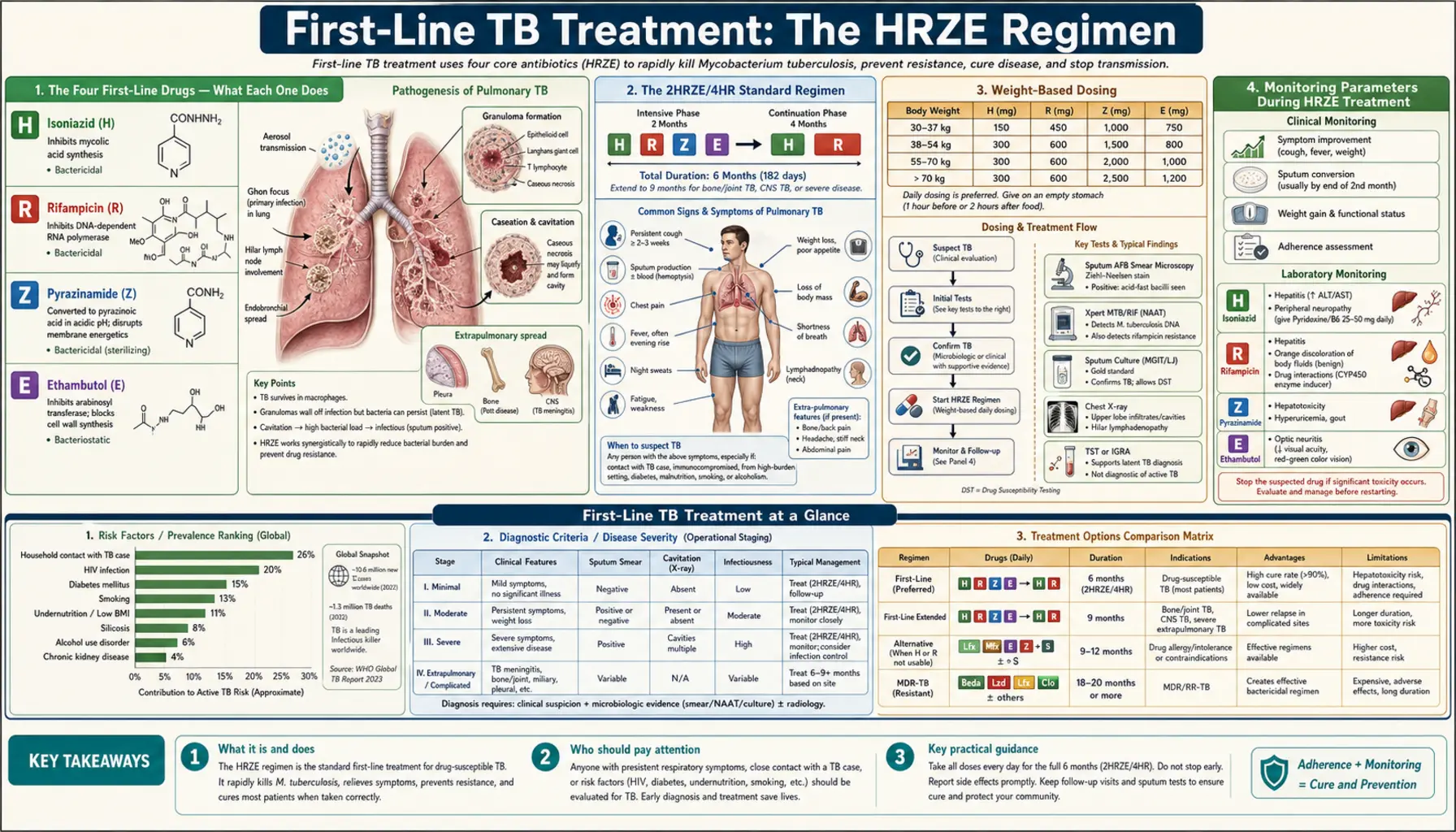 HRZE First Line Regimen — scientific infographic poster
