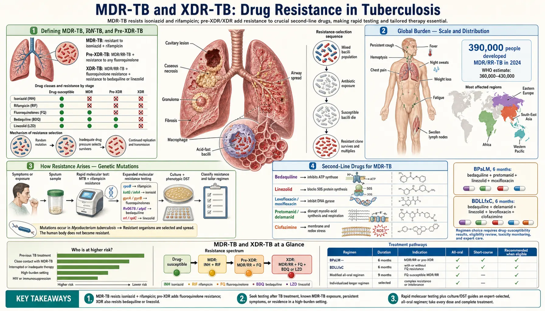 Multidrug Resistant TB — scientific infographic poster