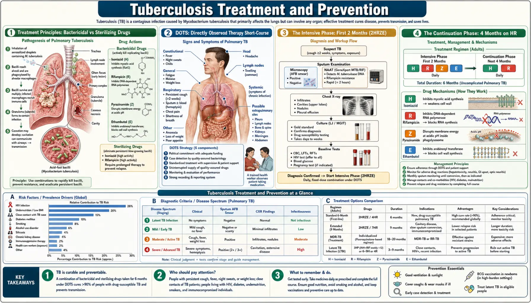 Treatments — scientific infographic poster