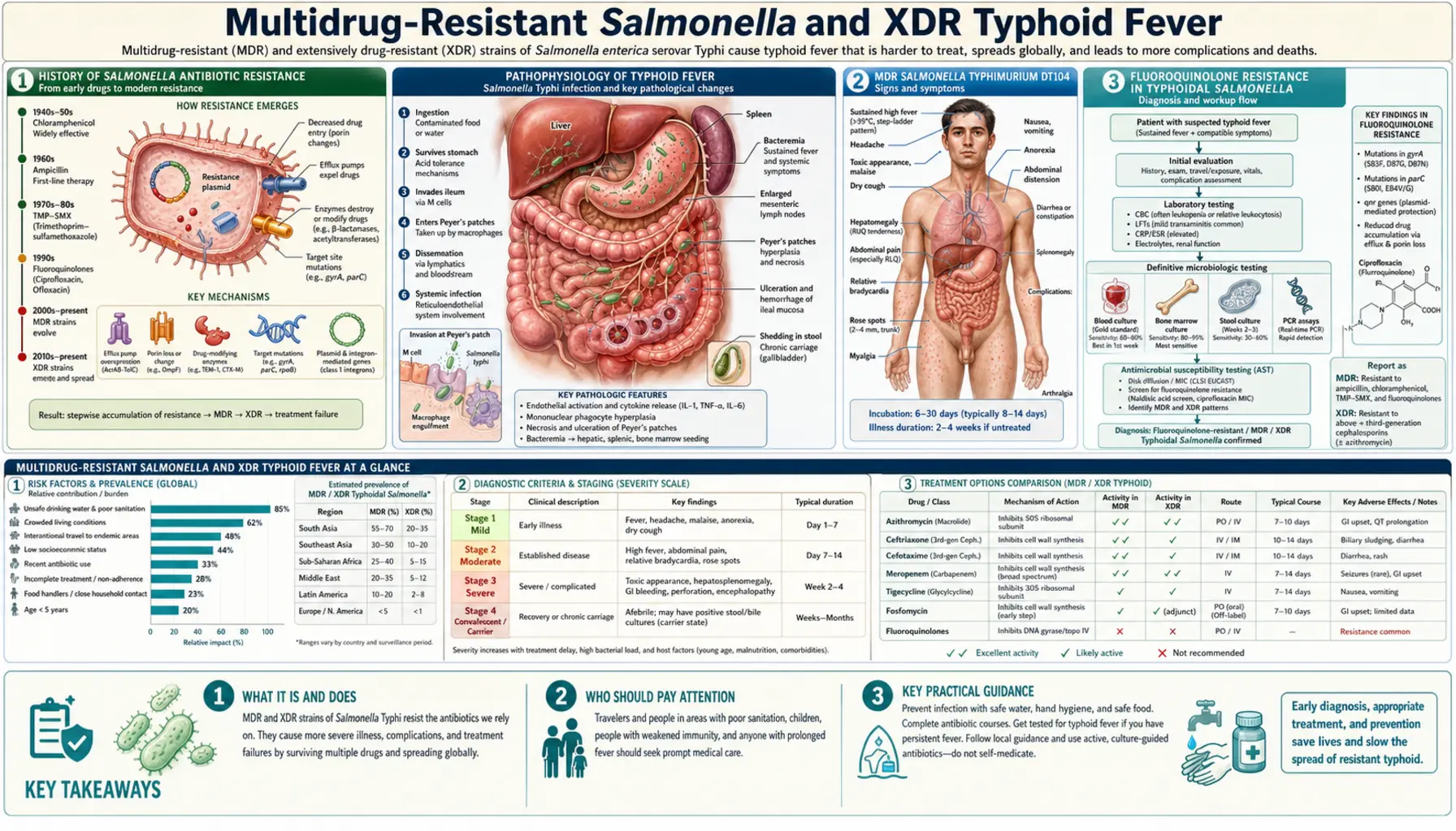 Multidrug Resistance — scientific infographic poster