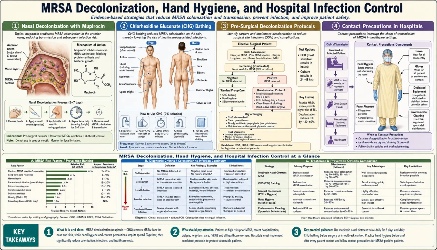 Decolonization and Infection Control — scientific infographic poster