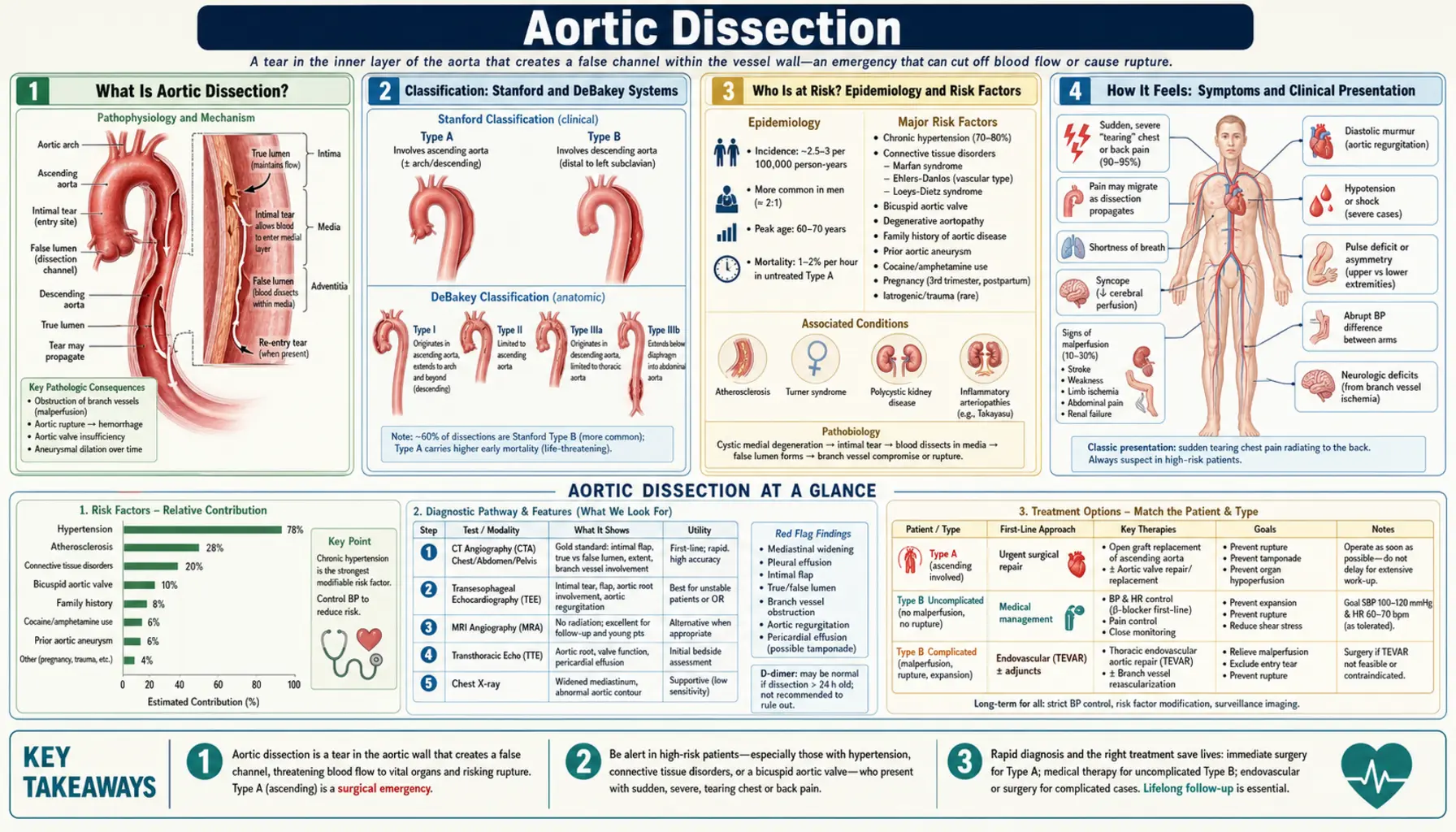 Aortic Dissection — scientific infographic poster