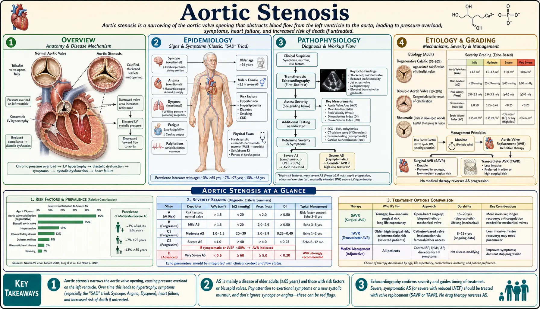 Aortic Stenosis — scientific infographic poster