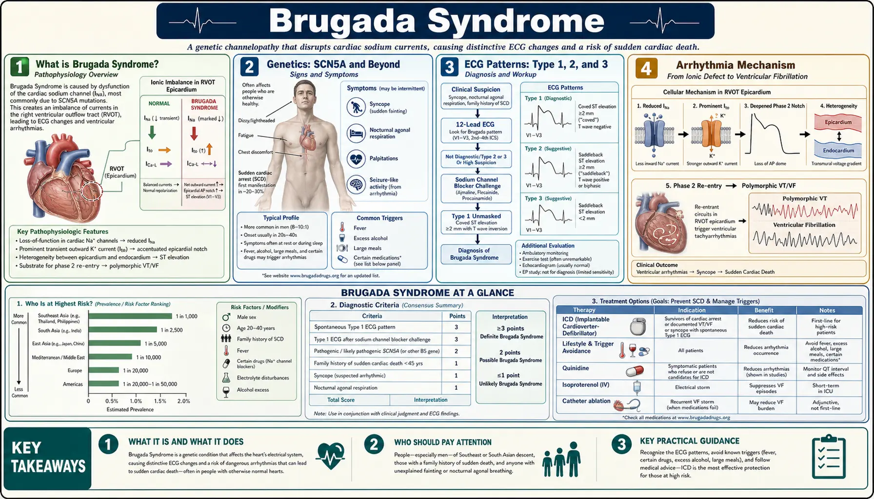 Brugada Syndrome — scientific infographic poster