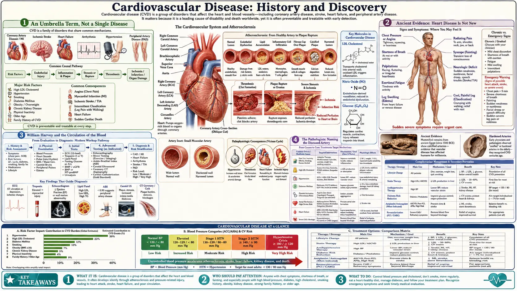 History — scientific infographic poster