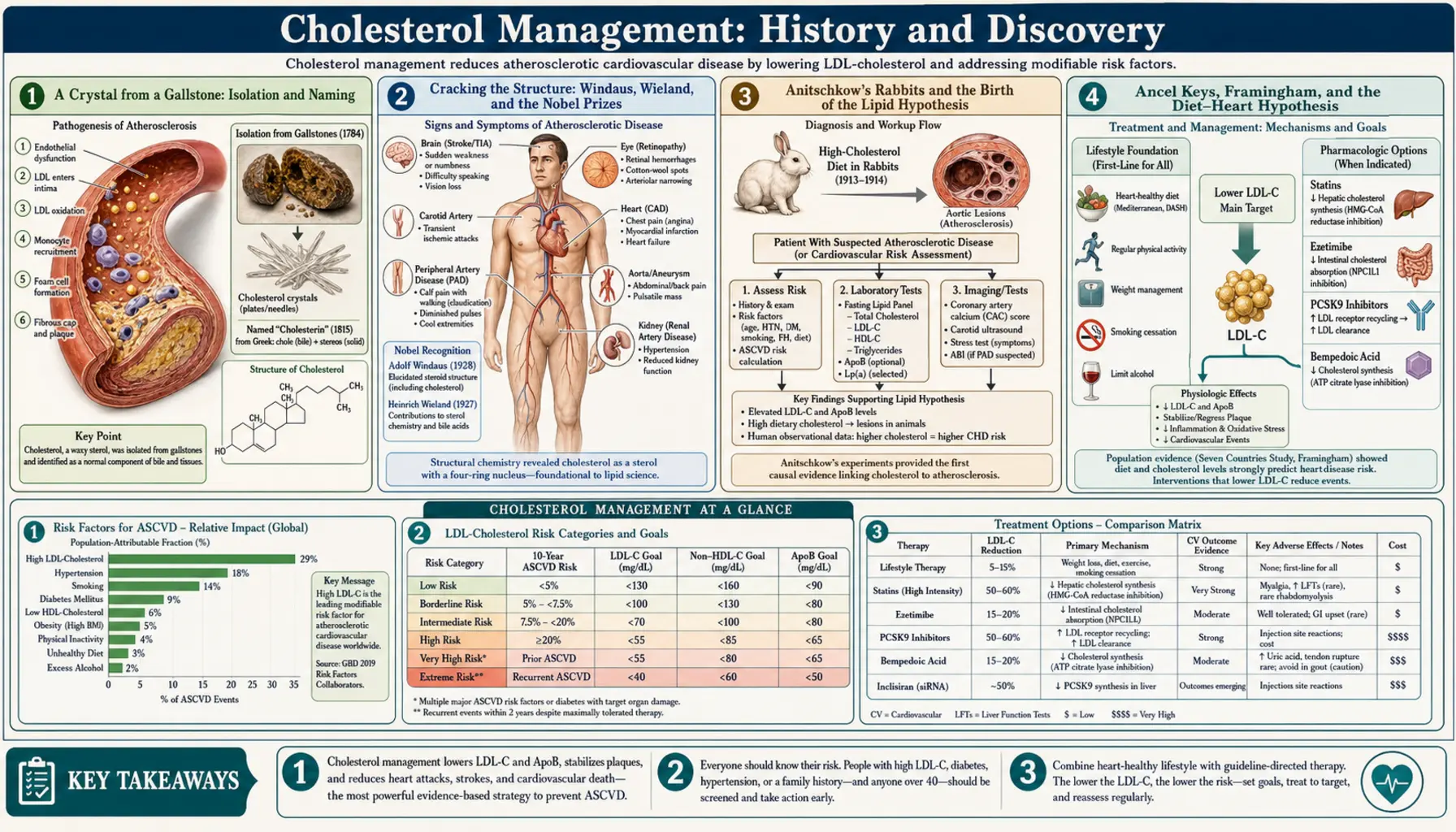 History — scientific infographic poster