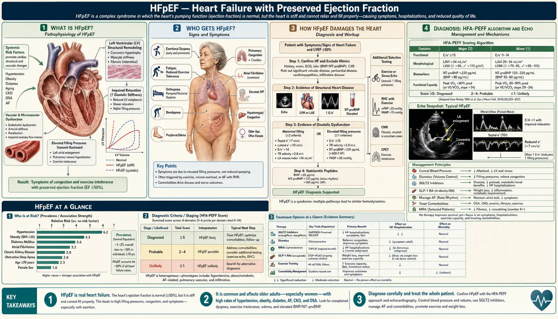 HFpEF — scientific infographic poster